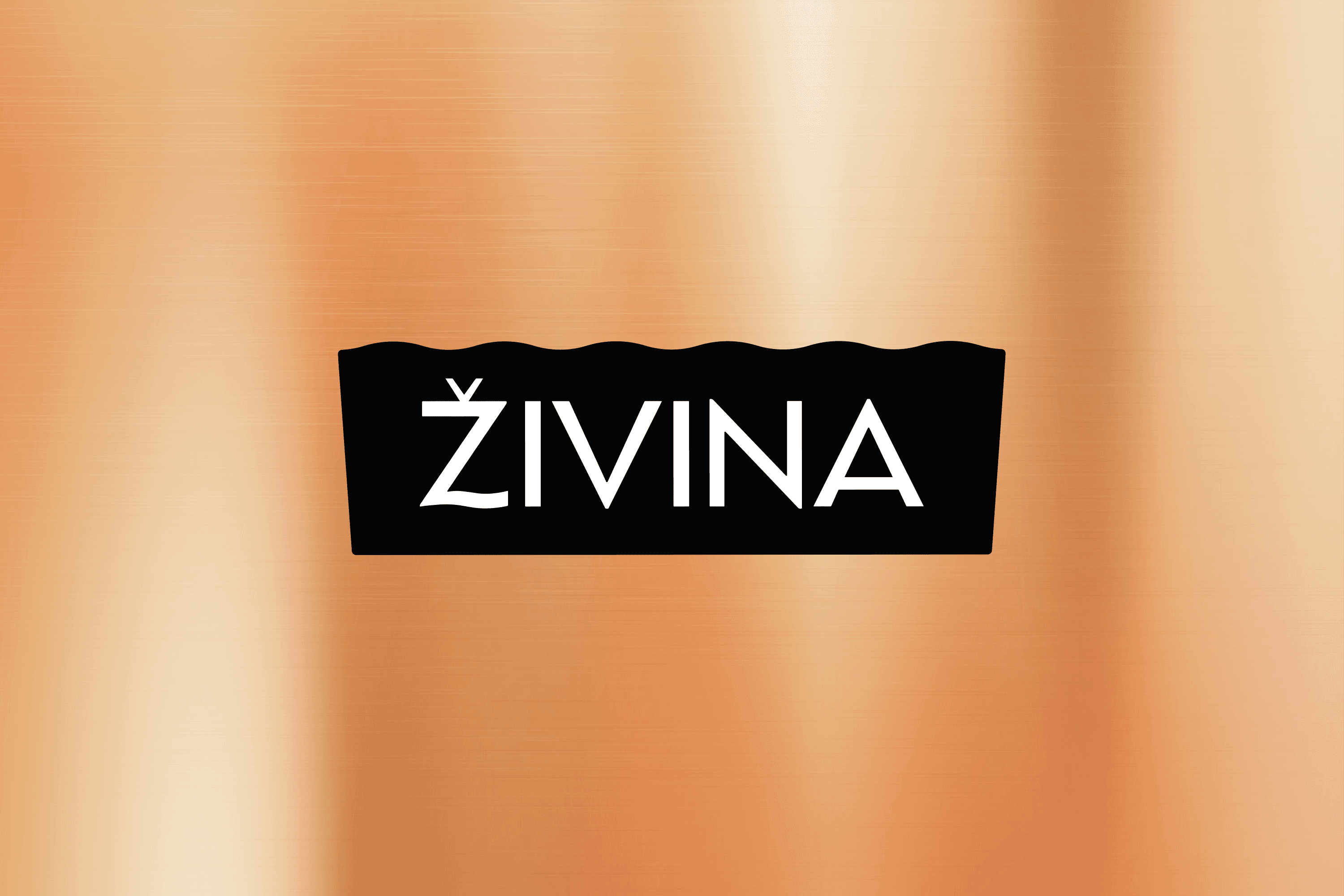 Živina
